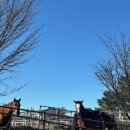 디어마이프렌즈 | [디어마이프렌즈 제주] 반려견과 함께 겨울 제주 오름 여행! 제주 오름 추천 노꼬메 오름!