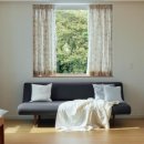 가지스테이 이미지