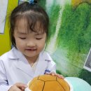 수아동물병원 이미지