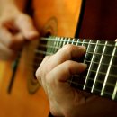 탄넨바움 이미지