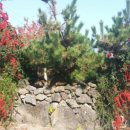 송승용농장 이미지