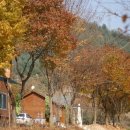 굿모닝 펜션 이미지