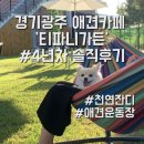 티파니 가든 | 경기광주 애견카페 티파니가든 오픈부터 다닌 4년차 솔직후기