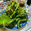 원원민박 이미지