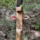 삼보파크텔 이미지