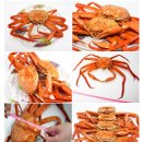 (주)유림수산유통 | [11월 마지막주 특가] 킹크랩 가격, 대게 시세 역대급 하락! 오늘 단하루 올해 최저가 공개🔥