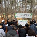 치유의숲 진입도로 이미지