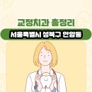 서울특별시 성북구 안암동 교정치과 총정리