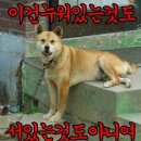 신월동곱창 이미지