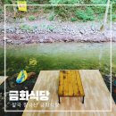 금화애견 | 칠곡 팔공산 계곡식당 금화식당 예약없이 하루종일 이용후기