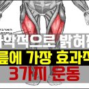 무릎 관절에 효과적인 운동 3가지 이미지