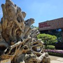 카페델피노 인근 이미지