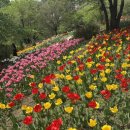 안산자락길 숲속카페 이미지