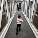 마땅농장 | 아이랑 겨울 연말 제주 서귀포가볼만한곳 동백 깡통기차 체험농장 보롬왓