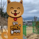 대구 최초 반려견 놀이터 달서구 장동공원 이용 후기