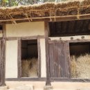 박원숙(朴原淑) 초가겹집 이미지