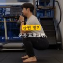 올라피티 이미지
