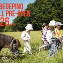 베베드피노 이미지