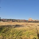 책사랑쉼터도서관 | [전북 전주] 전주시간여행투어 2일차 전주 야경 명소 덕진공원 연화정 도서관