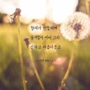 우승의 비결은 연합, 하나님의교회 설교 '연합하는 믿음' 이미지