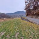 곡성우체국 이미지