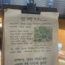 쌍백리 이미지