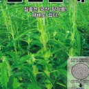 진양원예사 이미지