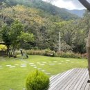 스테이 꿈의대화 이미지