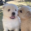 유나호프 이미지