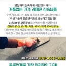 삼죽주유소 이미지