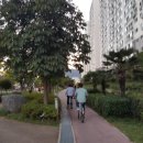 경남대로-2 네이버블로그