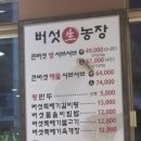곰솔농장