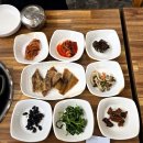 야성초등학교 앞 이미지