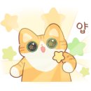 트윈스펜션 이미지