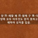 명언으로 배우는 세상 추천 사자성어 - 양패구상 고사성어 풀이, 경로효친 뜻 한자성어, 세세만년 사자성어 풀이 이미지