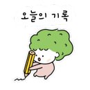 키친넘버14 이미지