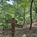 2026 06 19~20 뫼산모임 이미지