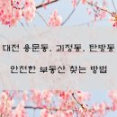 월드부동산중개 | 대전 부동산 사기 안당하는 방법 (안전 부동산)