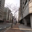 백석현대 이미지