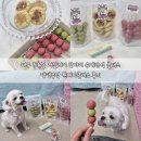 수제 다과 및 청 만들기 | 대구 두류동 저알러지 강아지 수제간식 클래스 댕댕부엌 원데이클래스 후기