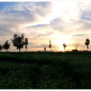 운암농장 이미지