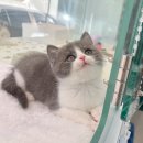 오즈메디칼 이미지