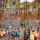 대장나무숲놀이터 이미지