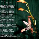국사봉 이미지