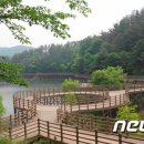 자연공원 이미지