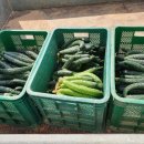 상화농장 이미지