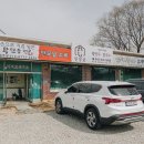 민장금