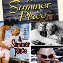 사랑의둥지 이미지