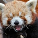 웰휘트니스퍼스널트레이닝센터 이미지