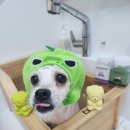 연이미용실